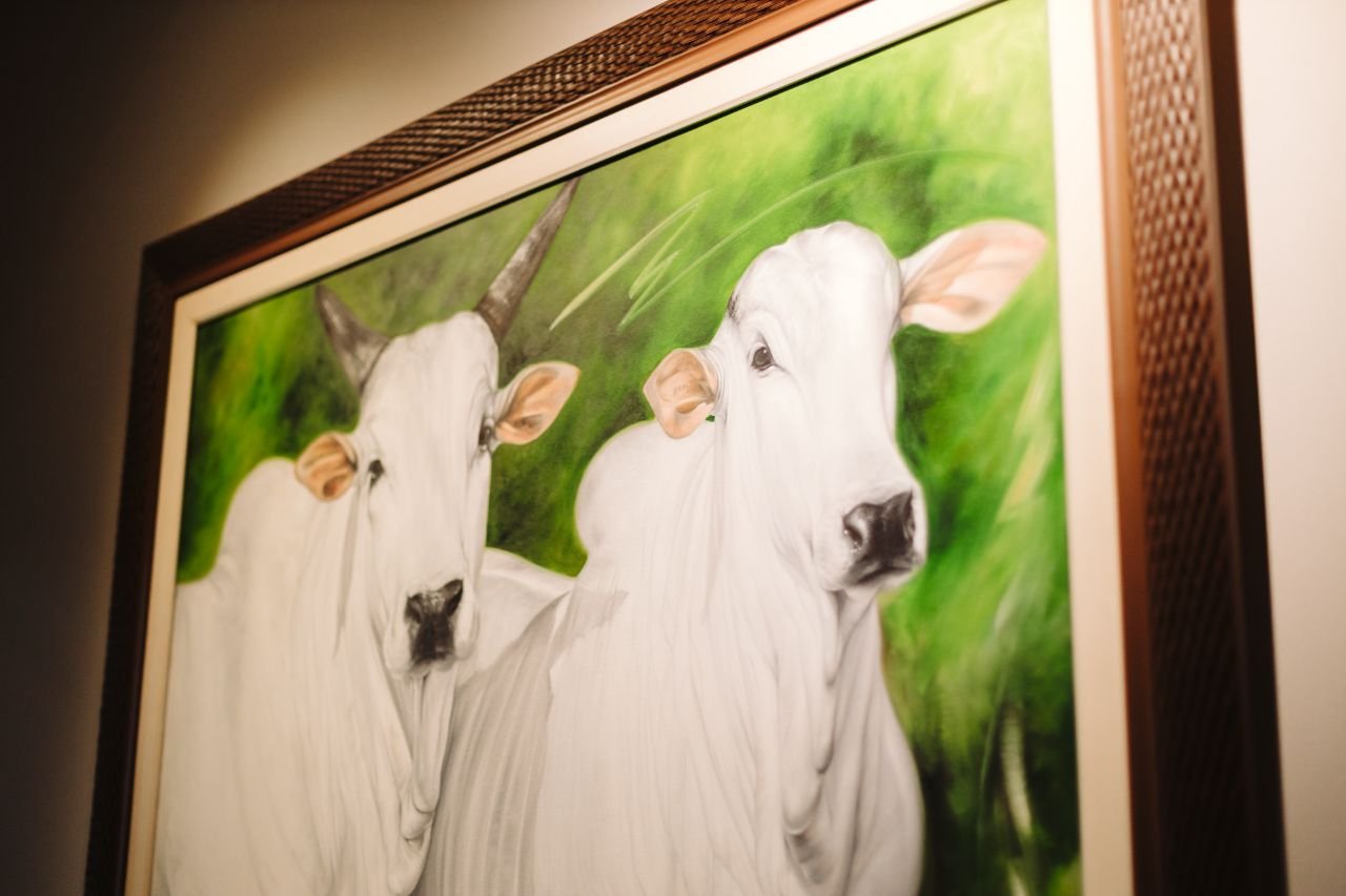 Quadro de gado Nelore, símbolo da pecuária nacional