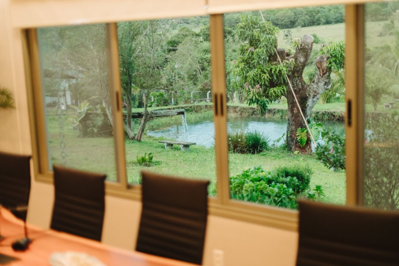 Vista relaxante da janela do escritório